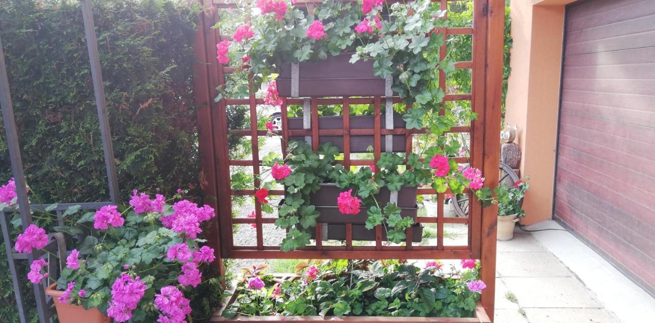 Apartmány u Jiroušů Rokytnice nad Jizerou Exteriér fotografie